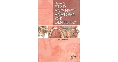 Netters Head And Neck Anatomy For Dentistry By Neil S Norton