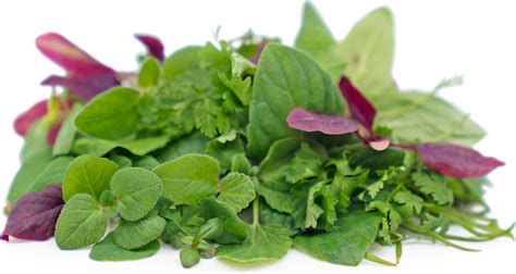 Micro Herb Mix Information Recipes And Facts
