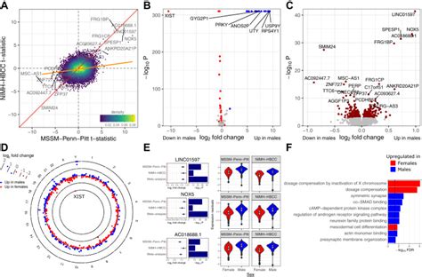 sex differences in the human brain transcriptome of cases with schizophrenia biological psychiatry