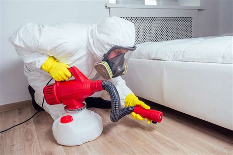 How Much Does A Bed Bug Exterminator Cost In 2024