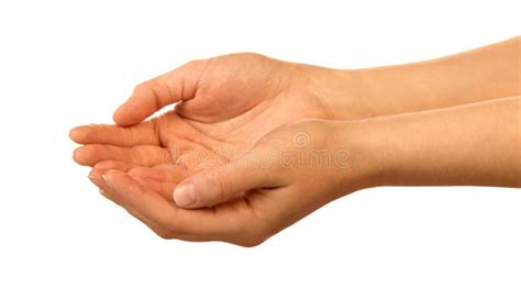 Hands Holding Something Stock Photo Image Of Help Pleading 54623230