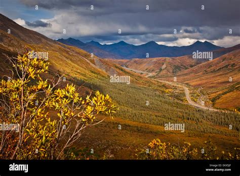 Plantalaskagates Of The Arctic Npbrook Range Stock Photo Alamy