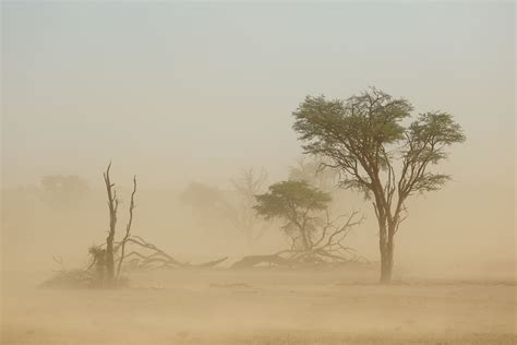6 Tips To Protect Your Homes Air Quality From Dust Storms