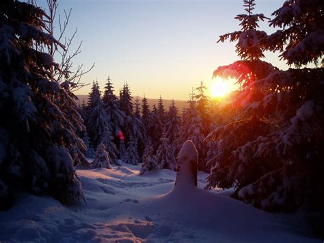 Free Images Tree Nature Forest Mountain Snow Cold Light