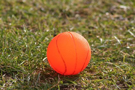 Free Images Grass Lawn Flower Orange Sports Equipment Ball