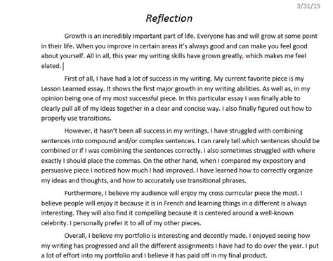 Reflection 8 Portfolio