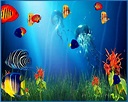 Marine life aquarium 3d screensaver - Download free