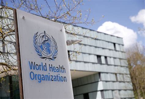 La Organización Mundial De La Salud Pidió Más Transparencia A China Para Enfrentar Futuras
