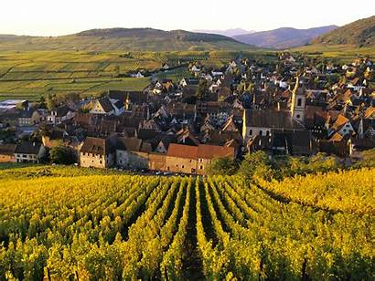 France Alsace Vineyards Wallpapers Vineyard Lorraine Wine