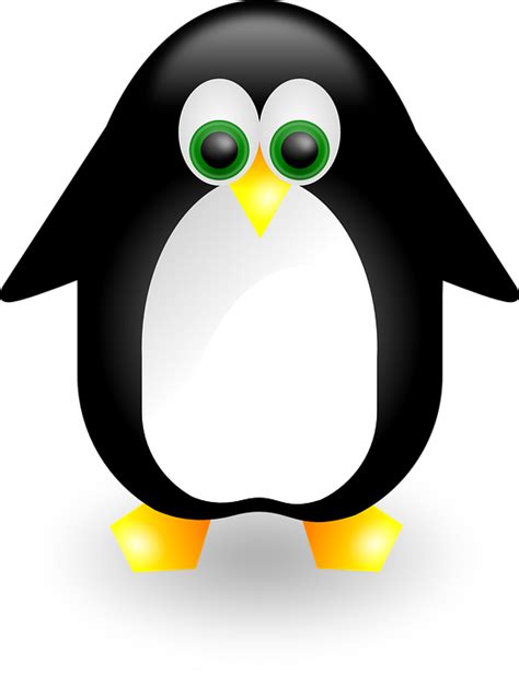Linux Logo Png Transparent Image Download Size 544x720px