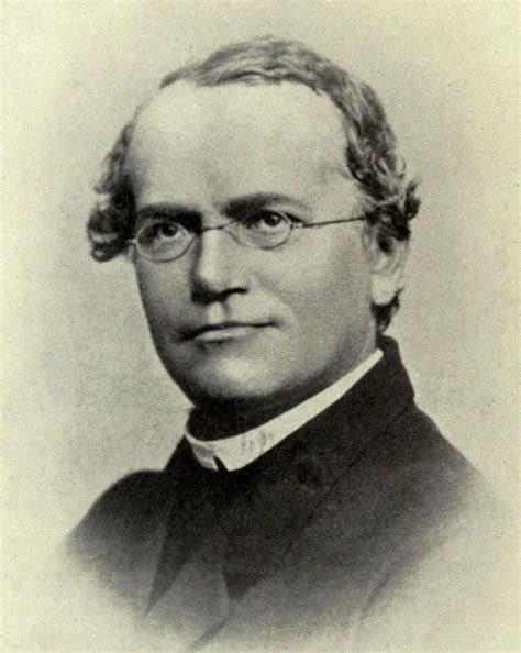 La Biografía De Gregor Mendel El Padre De La Genética