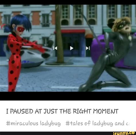 I Paused At Just The Right Moment Ifunny Miraculous Ladybug