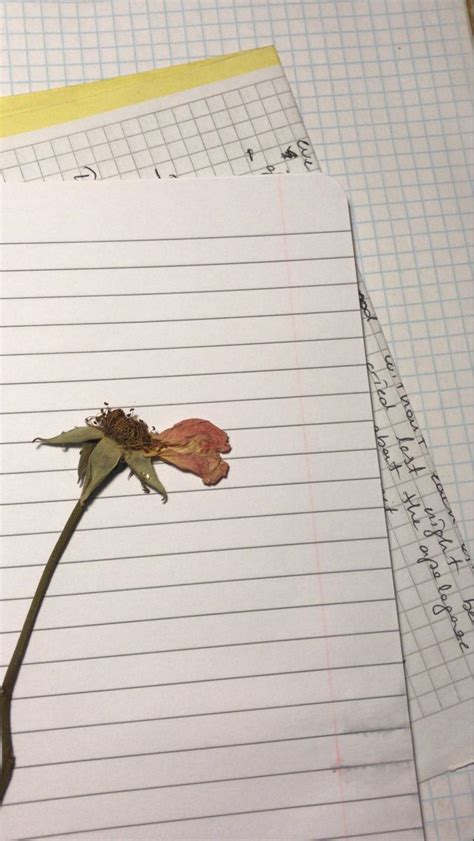 An Image Of A Flower On Lined Paper Next To Another Piece Of Paper With