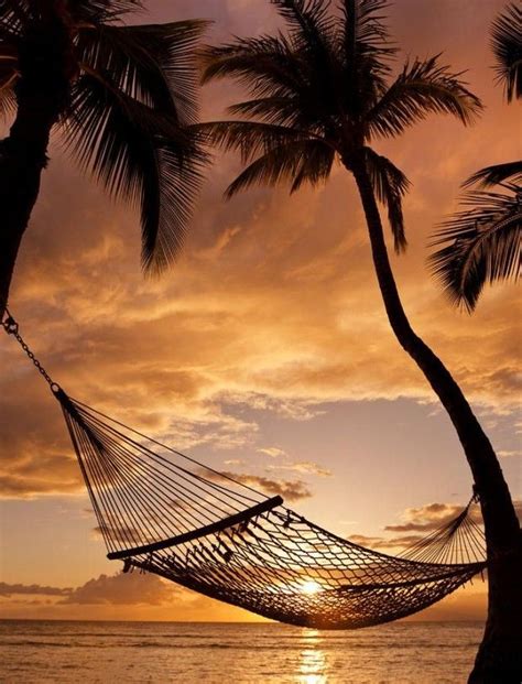 21 Breathtaking Sunset Photography My Perfect Vacation Just Me A Hammock And The Beach