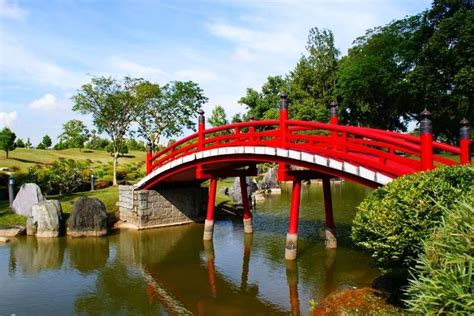 What Does Flower Bridge Mean In Japanese