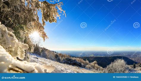 Winter Panorama With Copy Space On Blue Sky Stock Image Image Of
