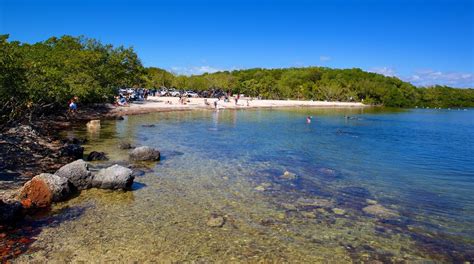 John Pennekamp Coral Reef State Park In United States Of America Expedia