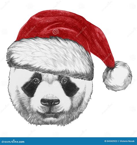 Portrait Of Panda With Santa Hat Stock Illustration Illustration Of