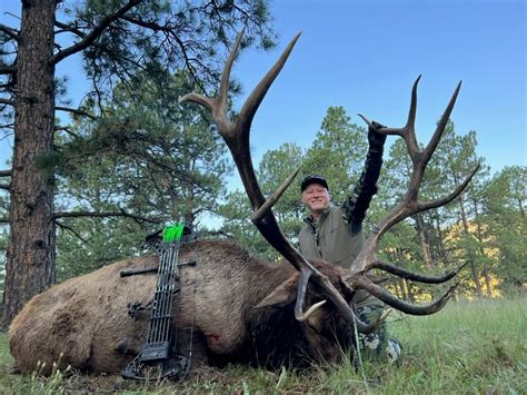Luxury Colorado Trophy Elk Hunt