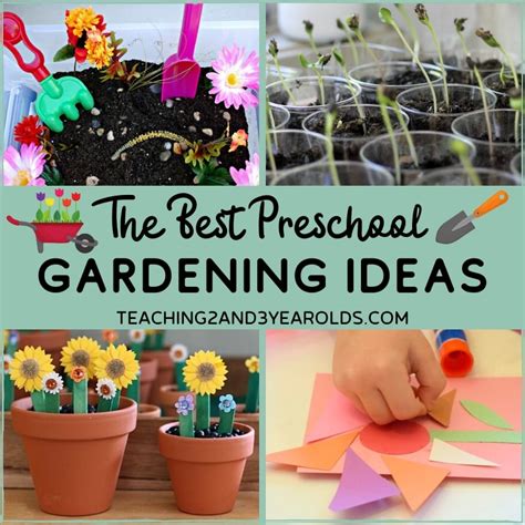 12 Of The Best Preschool Gardening Ideas