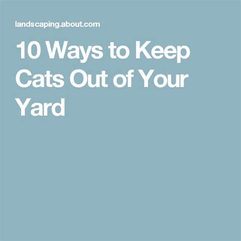 If another cat (or any animal) comes into your yard and frightens your outdoor cat, he can end up getting chased out of the area and that can put him at risk for getting hit by a vehicle during the chase. 909 best images about gardening on Pinterest | Gardens ...