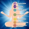 What is a Chakra System ? - THE HINDU PORTAL - Spiritual heritage ...