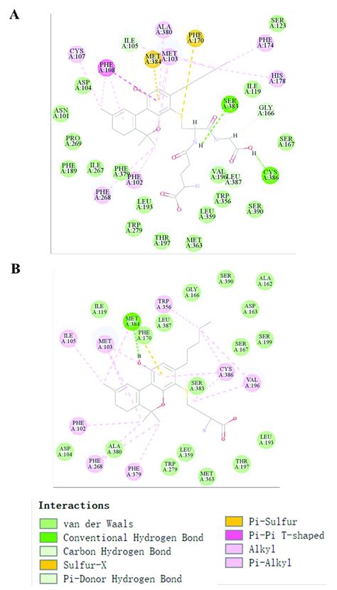 Molecular Docking Of Thc Conjugated With Gsh T29 And Cys T31 The