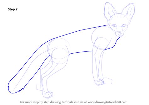 Learn How To Draw A Kit Fox Wild Animals Step By Step