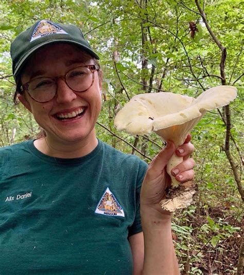 Learn About Mushrooms In The Midwest Master Gardeners Of Greater