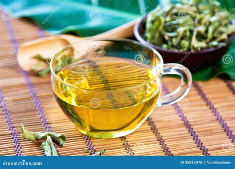 Verveine Tea Or Verbena Tea Stock Image Image Of Drink Glass 35516975