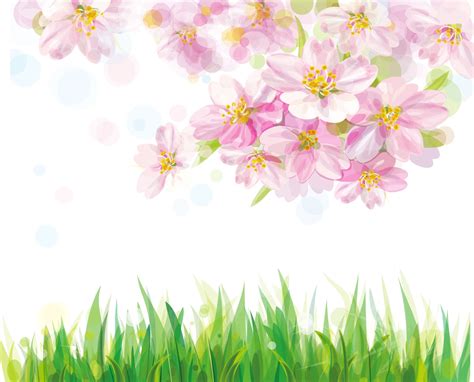 さくら桜のイラスト・画像no063『壁紙：水彩画風のさくら』 無料のフリー素材集 百花繚乱