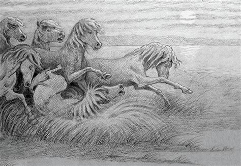 Wild Horses Drawing By Nicola Fusco Fine Art America