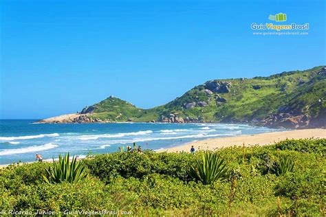 Fotos Da Praia Mole Em Florianópolis Veja As Imagens