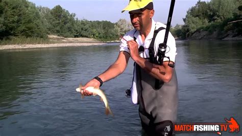 pesca in fiume al barbo cosa usare esche montatura galleggianti canne bolognesi youtube