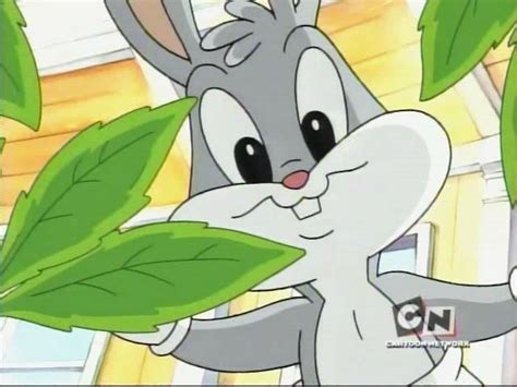 Which Of The Baby Looney Tunes Do You Think Is The Cutest Random