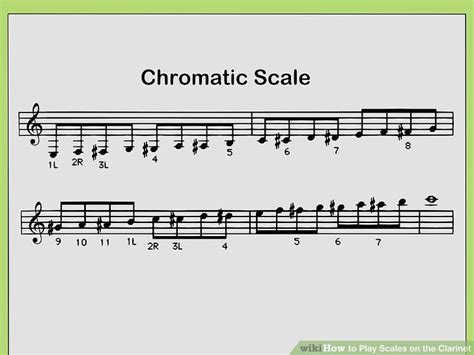 B Flat Clarinet Chromatic Scale Drone Fest
