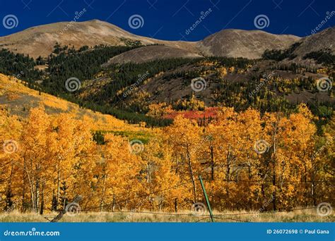 Autumn Colors In The Mountains Of Colorado Stock Photo Image Of Rocky