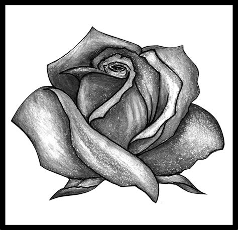 Rose Tattoos Drawing