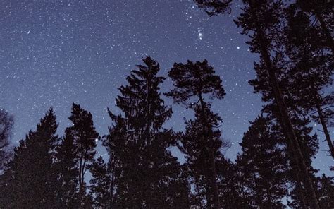 Download Wallpaper 1680x1050 Starry Sky Stars Trees Night View From