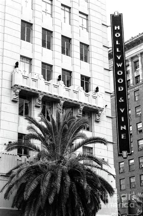 Taft Building At Hollywood And Vine Photograph By John Rizzuto