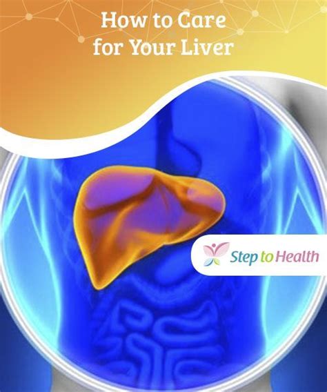 How To Care For Your Liver If You Want To Know How To Care For Your