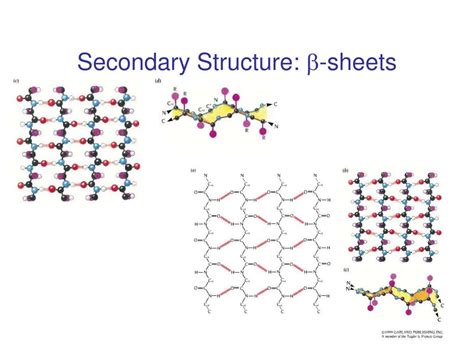 Ppt Protein Structure Powerpoint Presentation Free Download Id4519007