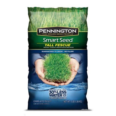 Pennington Smart Seed 3 Lb Tall Fescue Grass Seed In The Grass Seed