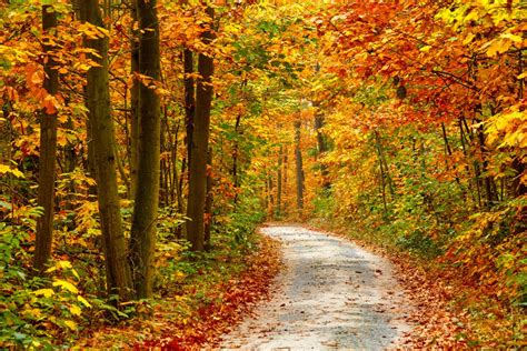 10 Places To Capture Amazing Fall Colours Across The Country