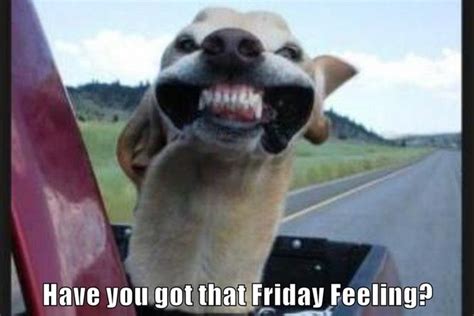 Have You Got That Friday Feeling