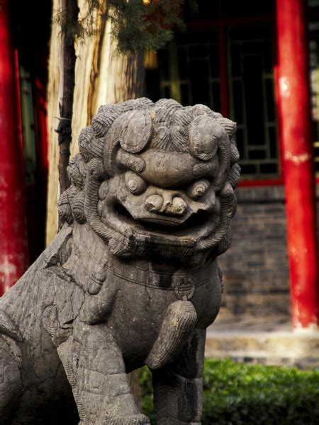 We are committed to workable solutions. Chinese guardian lion Free stock photos in jpg format for ...