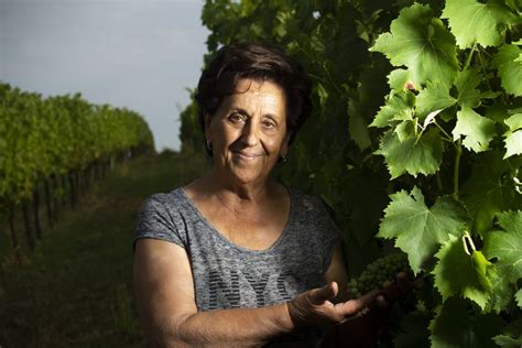 Visite In Cantina Tenuta La Viola