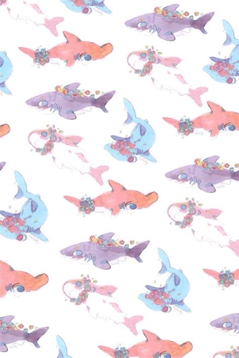 Cute Shark Wallpapers Wallpaper Cave