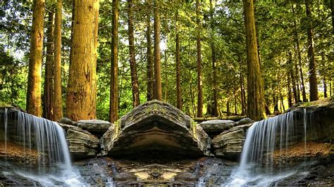Forest Cascades Wallpapers Wallpaper Cave