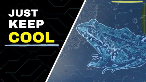 Unlocking Nature's Secrets: 20 Intriguing Animal Facts - YouTube